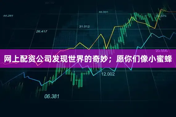 网上配资公司发现世界的奇妙；愿你们像小蜜蜂