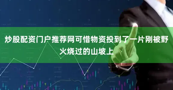 炒股配资门户推荐网可惜物资投到了一片刚被野火烧过的山坡上